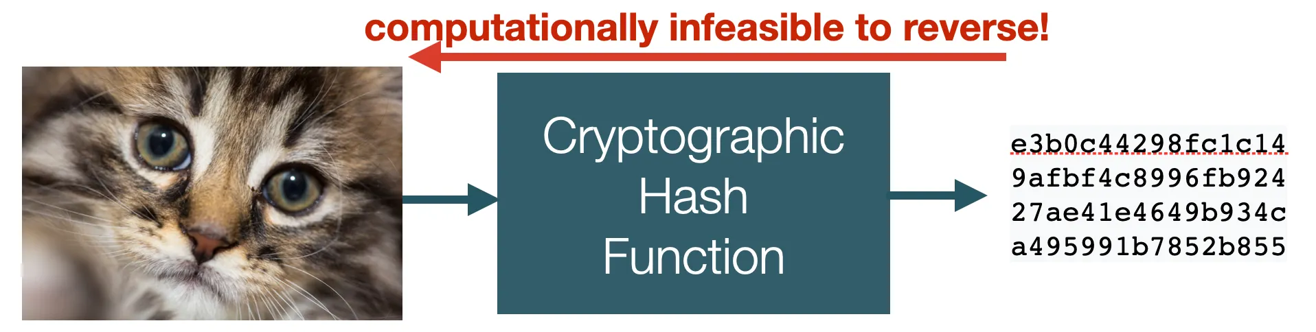 cryptographic hash function