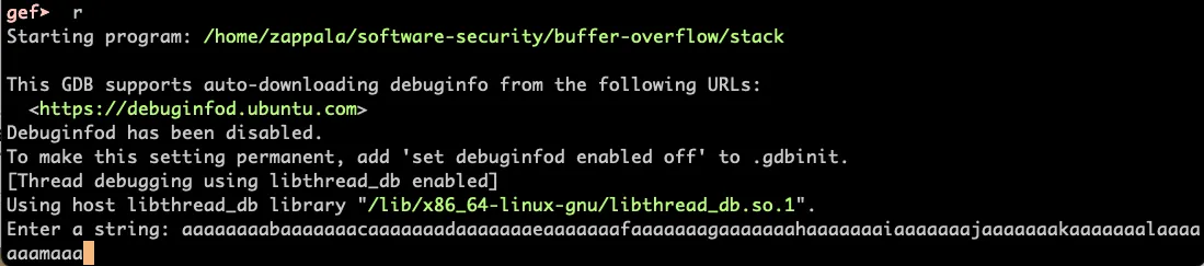 Use the created pattern as input to the program