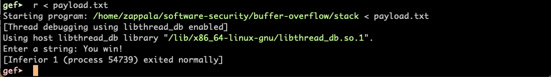 use gdb to run the program with the specified input