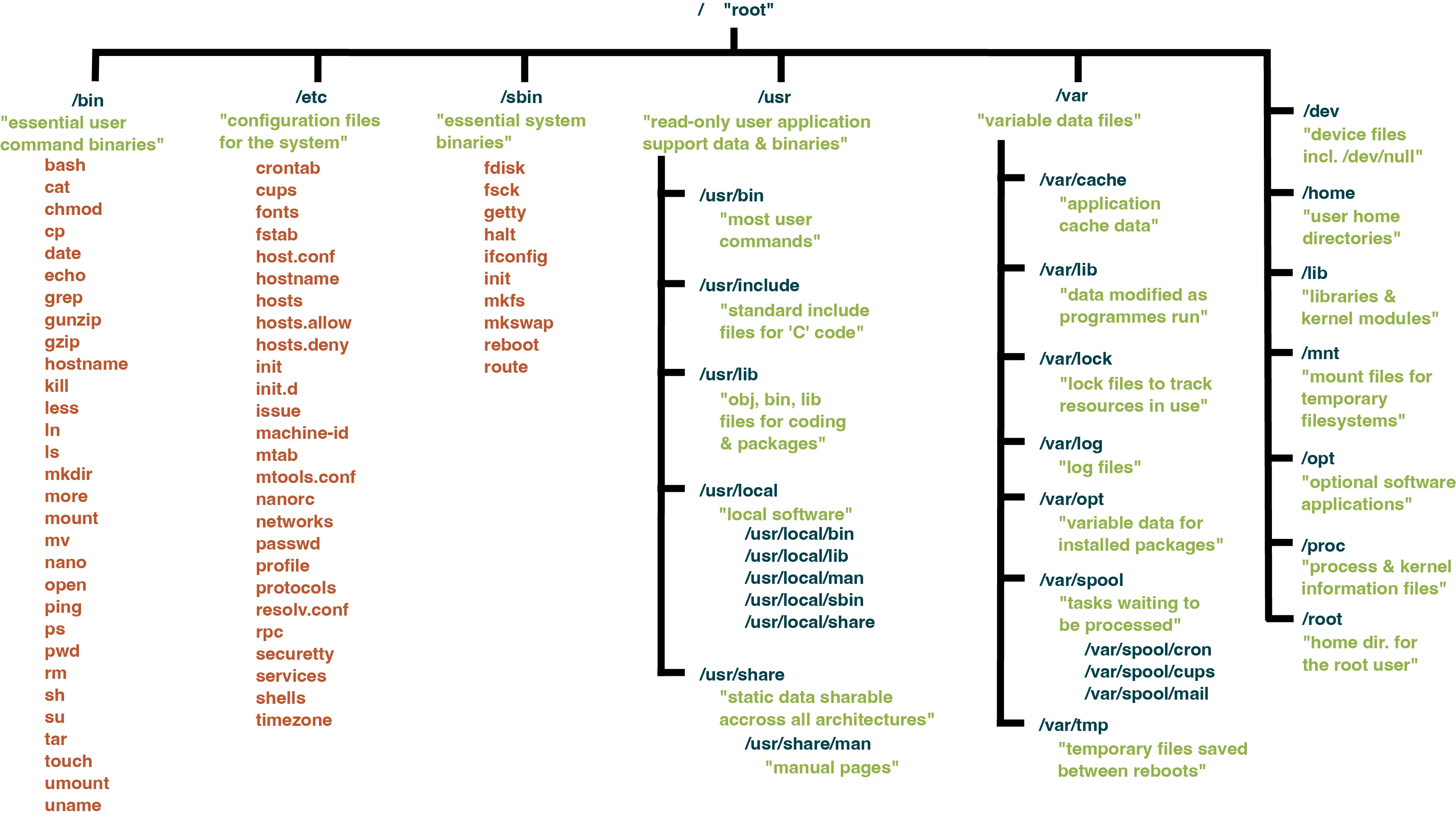 UNIX file system hierarchy